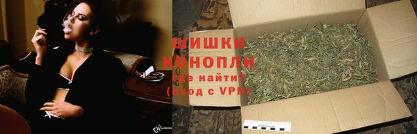 индика Покачи