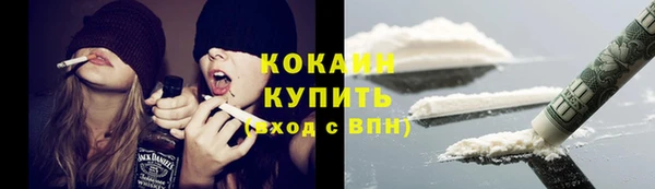 гидра Белоозёрский