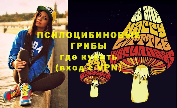 крисы Покровск